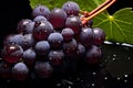 Tart Red wine grapes. Generate Ai Royalty Free Stock Photo