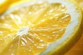 Tart and Tangy: Close-Up of a Thin Slice of Zesty Lemon Fruit