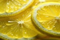 Tart and Tangy: Close-Up of a Thin Slice of Zesty Lemon Fruit