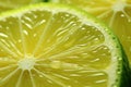 Tart and Tangy, Close-Up of a Thin Slice of Zesty Lemon Fruit