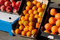 Tropical juicy fruits exposed for sale