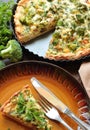 Tarta pie with broccoli Royalty Free Stock Photo