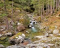 The Tartagine river near MausolÃÂ©o in Corsica Royalty Free Stock Photo