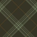 Tartan plaid pattern autumn in brown and green. Seamless dark check plaid graphic background vector for flannel shirt, blanket. Royalty Free Stock Photo