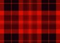 Red Scottish Royalty Free Stock Photo