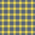 Tartan plaid pattern seamless vector background Royalty Free Stock Photo