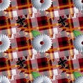 Tartan plaid seamless pattern. Striped ornamental floral background. Geometric repeat checks backdrop. 3d camomile flowers. Grunge Royalty Free Stock Photo