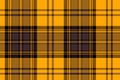 Tartan Royalty Free Stock Photo