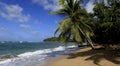 Tartane beach, Martinique Royalty Free Stock Photo