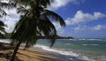 Tartane beach, Martinique Royalty Free Stock Photo