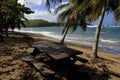 Tartane beach, Martinique, la caravelle Royalty Free Stock Photo