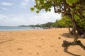 Tartane beach, Presqu`ile de la Caravelle, Martinique Royalty Free Stock Photo