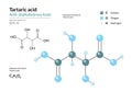 Tartaric acid. AHA Alphahydroxy acid. Structural chemical formula and molecule 3d model. Atoms with color coding. Vector