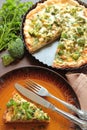 Tarte pie with broccoli Royalty Free Stock Photo