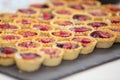 Tartelettes Royalty Free Stock Photo