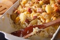 Tartiflette potatoes with bacon and cheese macro horizontal