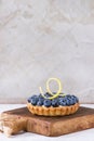 Tartlet with blueberries