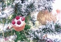 Tartlet with butter cream and raspberries on a snow-covered Christmas tree
