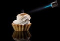 Tartlet with a meringue Royalty Free Stock Photo