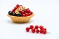 Tartlet red white black currant isolated sweet food nature fresh