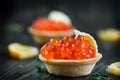 Tartlet with salmon caviar closeup. Snacks with trout caviar