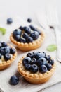 Tartlets with blueberries, bilberry, ricotta and honey syrup on gray vintage background. Delicious dessert.