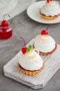 Tartlets with cherry filling and Italian meringue with a cocktail cherry on top on a board on a concrete background. Royalty Free Stock Photo