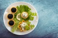 Tartlets filled with red and black caviar and cheese and dill salad on white plate against blue rustic wooden background Royalty Free Stock Photo