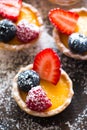 Tartlets of fresh berries and icing sugar Royalty Free Stock Photo