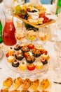 tartlets with salads, snacks and drinks. the buffet.