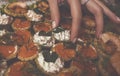 Tartlets with shrimp, red caviar and herbs. A woman takes a seafood snack with her hand.