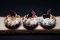 Tartlets with white cream and chocolate on the board on a dark b Royalty Free Stock Photo