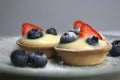 Tarts with custard, fresh berries and powdered sugar. Dessert Tartlets Royalty Free Stock Photo