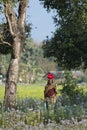 Taru woman walking in Terai's field in Nepal