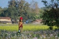 Taru woman walking in Terai's field in Nepal