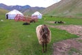 Tash Rabat Caravanserai 06