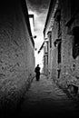 Tashilompu Monastery walk through Shigaste Tibet