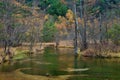 Tashiro pond surrounded by woods mountains, late autumn season in Kamikochi ,Japan Royalty Free Stock Photo