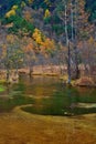 Tashiro pond surrounded by woods mountains, late autumn season in Kamikochi ,Japan Royalty Free Stock Photo