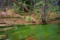 Tashiro pond surrounded by woods mountains, late autumn season in Kamikochi ,Japan Royalty Free Stock Photo