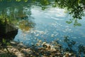 Tashlich ritual by the shore: bread pieces on serene lake. AI Royalty Free Stock Photo