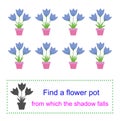 Task for attentiveness. Find a flower vase from which the shadow falls