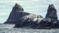 Tasman National Park, Tasmania Royalty Free Stock Photo