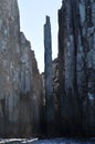 Sea Cliffs of Tasmania