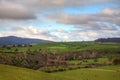 Tasmania farmland