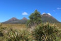 Tasmania, Landscape Cradle Mountain, Lake St Clair National Park