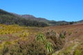 Tasmania, Landscape Cradle Mountain, Lake St Clair National Park