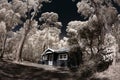 Tasmania rural house forest and grassland