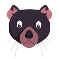 Tasmanian devil face front view. Royalty Free Stock Photo