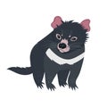 Tasmanian devil isolated on white background. Vector graphics Royalty Free Stock Photo